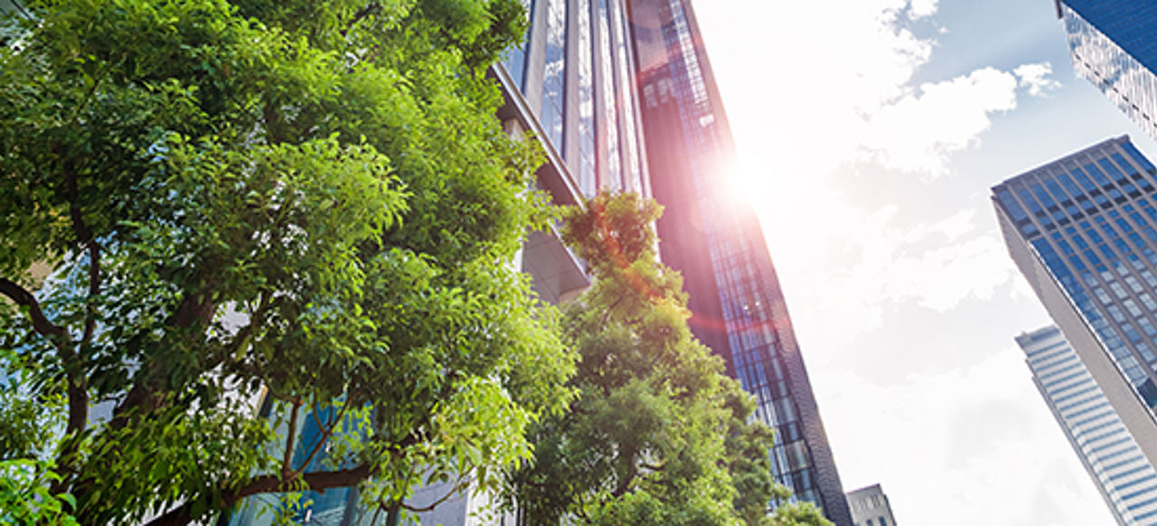 Office buildings with green trees